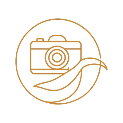 Photography logo idea for Timeless Lens